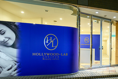 hollywood lab